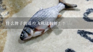 什么牌子的遥控飞机比较好？？