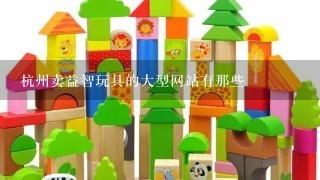 杭州卖益智玩具的大型网站有那些