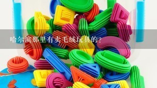 哈尔滨那里有卖毛绒玩具的？