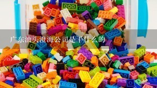 广东汕头澄海公司是干什么的