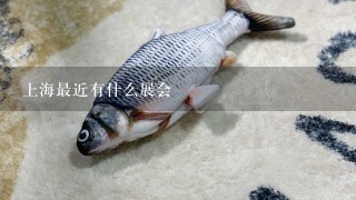 上海最近有什么展会