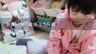 如何向客户推销飞鸟玩具