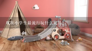 现在小学生最流行玩什么玩具？