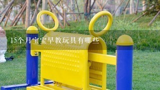 15个月宝宝早教玩具有哪些