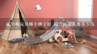 磁力棒玩具哪个牌子好 磁力棒玩具要多少钱