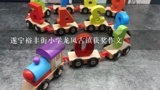 遂宁裕丰街小学龙凤古镇获奖作文