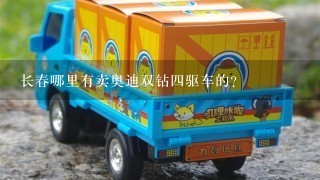 长春哪里有卖奥迪双钻4驱车的？