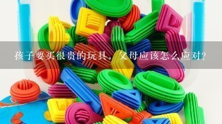 孩子要买很贵的玩具，父母应该怎么应对？