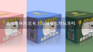 北京奥林匹克水上公园有大型玩具吗