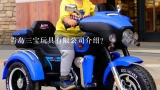 青岛3宝玩具有限公司介绍？