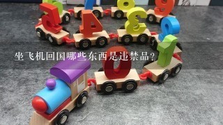 坐飞机回国哪些东西是违禁品?