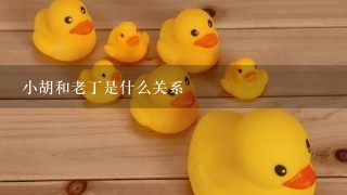 小胡和老丁是什么关系