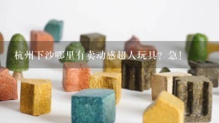 杭州下沙哪里有卖动感超人玩具？急！