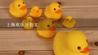 上海欢乐谷作文