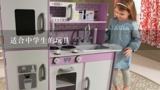 适合中学生的玩具